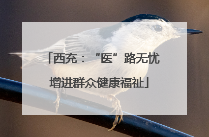 西充：“医”路无忧 增进群众健康福祉